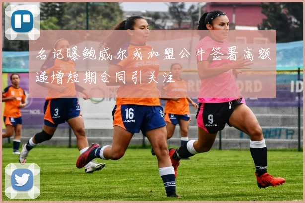 名记曝鲍威尔或加盟公牛签署高额递增短期合同引关注